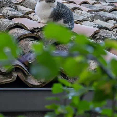 Per Turisti Mesovia Santa Severina