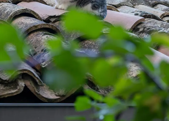 Per Turisti Mesovia Santa Severina